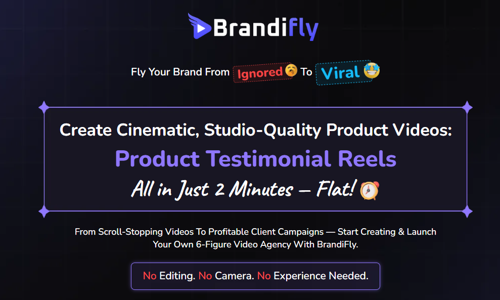Brandifly Review